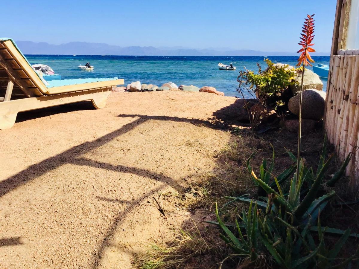 Villa Kon Tiki With Private Beach Dahab Eksteriør billede